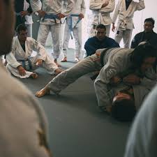 Image result for Hillsborough Judo Club
