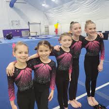 Image result for Sheredes Gymnastics Club