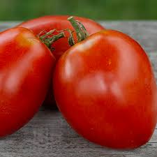 Afbeeldingsresultaat voor amish paste tomato