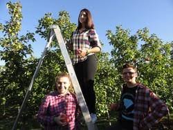 Image result for William Shrewsbury School Table Tennis Club