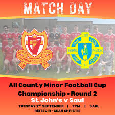 Image result for St Patrick`s Gac, Saul