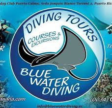 Image result for Blue Water Diving