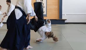 Image result for Aikido - Takama Hara Aikido Dojo