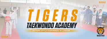 Image result for Central London Ninjutsu