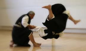Image result for Abbey Shorinji Kempo Dojo