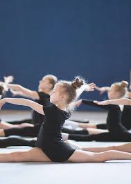 Image result for Phoenix Acro Gymnastics Club