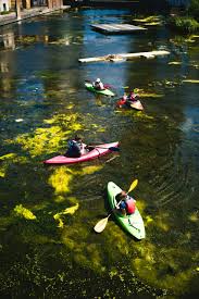 Image result for Islington Boat Club