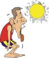 Philippine Medicinal Plants: How Can We Prevent Heat Stroke