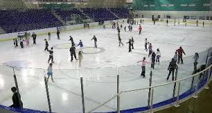 Image result for Sheffield Wildcats Rink Hockey and Roller Skating Club