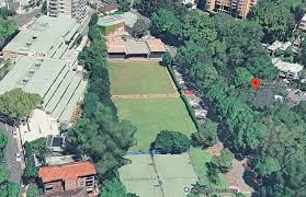 Image result for Paddington Indoor Bowls Club