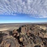 Attēlu rezultāti vaicājumam “Craterium sp.”