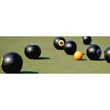 Image result for Arnoldfield Bowls Club