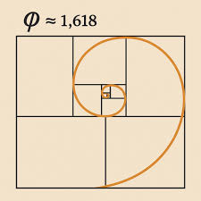 Image result for numero aureo