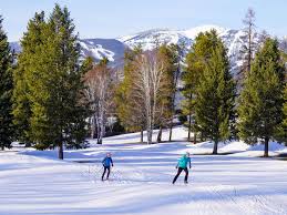 Image result for White Cross Ski Club