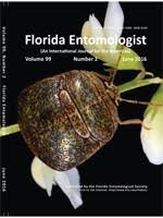 Attēlu rezultāti vaicājumam “Cribraria martinii stalked”