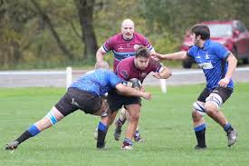 Image result for Wilmslow Rugby Union Football Club