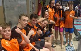 Image result for Swindon Dolphins