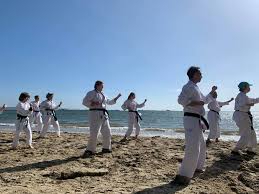 Image result for Twyford Higashi Karate Club