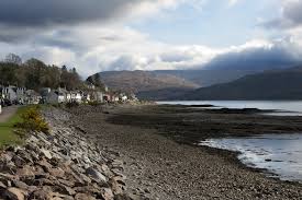 Image result for Lochcarron Camanachd