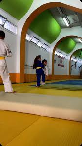 Image result for Horndean Zen Judo Club