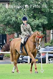 Image result for Blackpool & Fylde Horse Club
