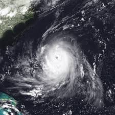 Image result for Hull Hurricanes