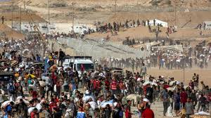 Risultati immagini per privazione della pheega