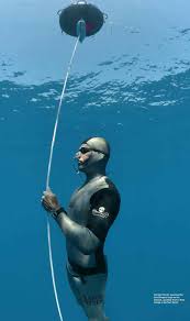 Image result for Duchy Divers
