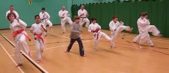 Image result for Burnley Wado Ryu Karate Club