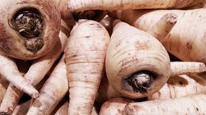 Image result for Pastinake