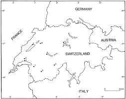 Attēlu rezultāti vaicājumam “Adoxus obscurus”
