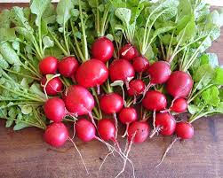 Image result for Raphanus sativus ssp. Oleiformes