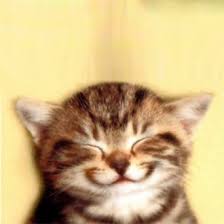 http://t0.gstatic.com/images?q=tbn:ANd9GcR5qET7qd1SzYCUl9g68CnanMdhf2bI6cHkpjtKQA3lL5nHcwlEIKYbHPMB