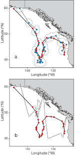 Image result for Lamna ditropis