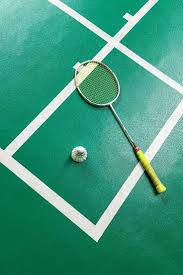 Image result for Dolphin Badminton Club