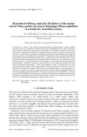 Image result for Platycephalus speculator