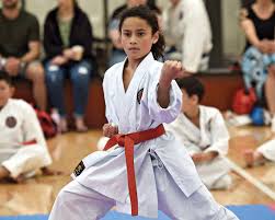Image result for Welwyn Garden City Judo Club
