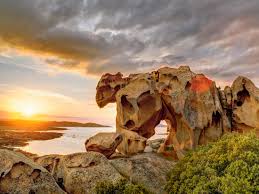 Image result for capo d'orso