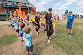 Image result for Louth Cricket Club