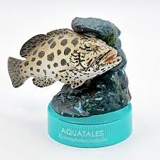 Image result for Epinephelus tukula