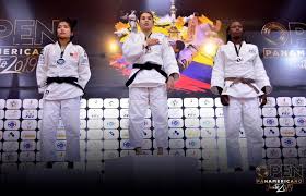 Image result for Universal Judo Academies