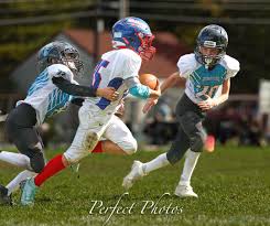 Image result for Teesside Renegades