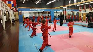 Image result for Roswell Martial Arts KA
