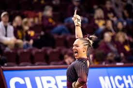 Image result for Central Manchester Institute Of Gymnastics