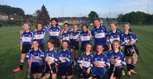 Image result for Sarsfields Hurling Club