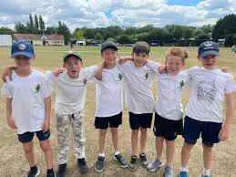 Image result for Halstead Cricket Club