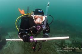 Image result for Dive Crew Scuba Diving