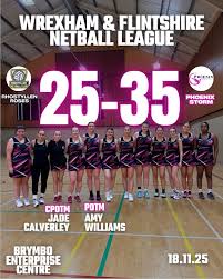 Image result for Wyvern Ladies Netball Club