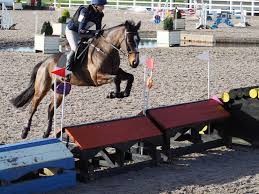 Image result for East Flegg Riding Club