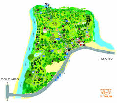 Image result for шри ланка королевский ботанический сад